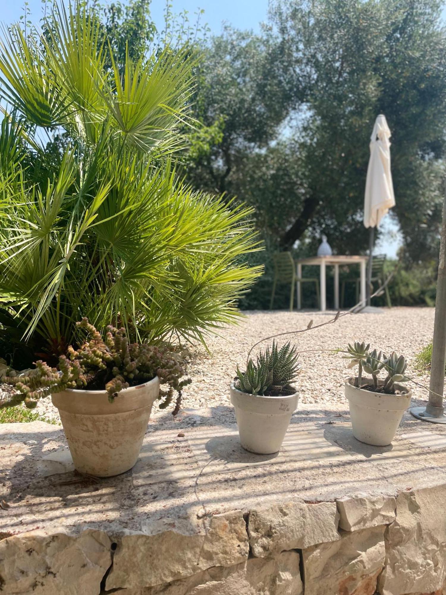 Bed and Breakfast Casa Della Scrittrice Ostuni Pokoj fotografie