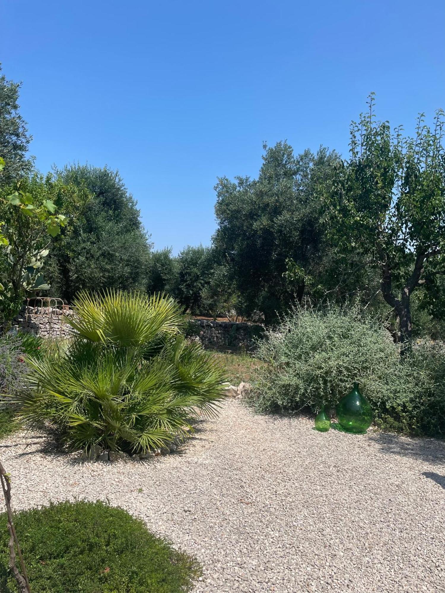 Bed and Breakfast Casa Della Scrittrice Ostuni Pokoj fotografie